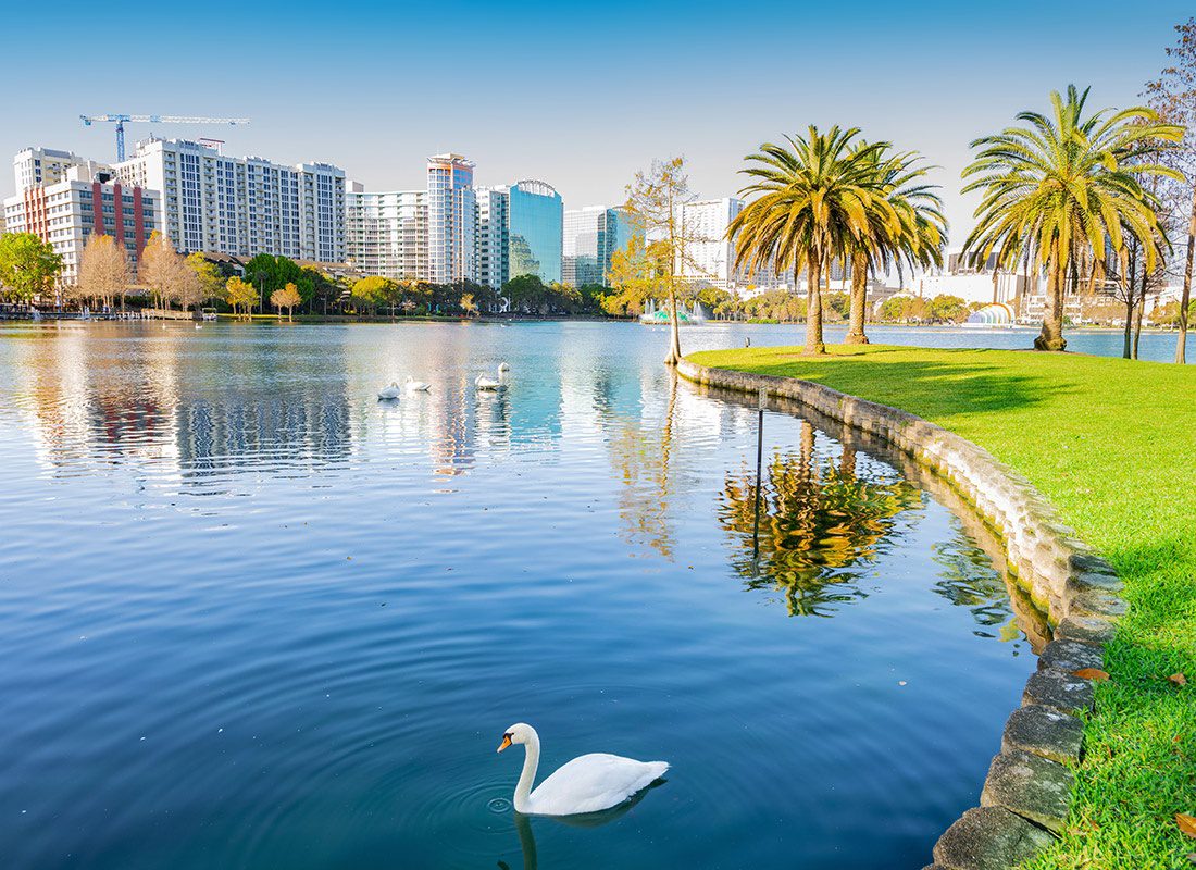 About Our Agency - Orlando Florida Skyline, Palm Trees, and a Swan in the Water